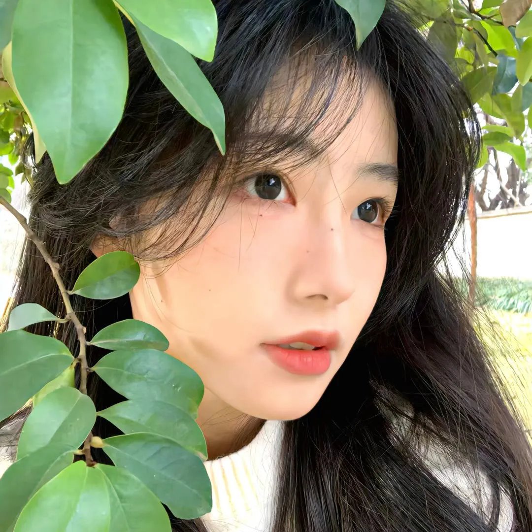 致命姐妹会
